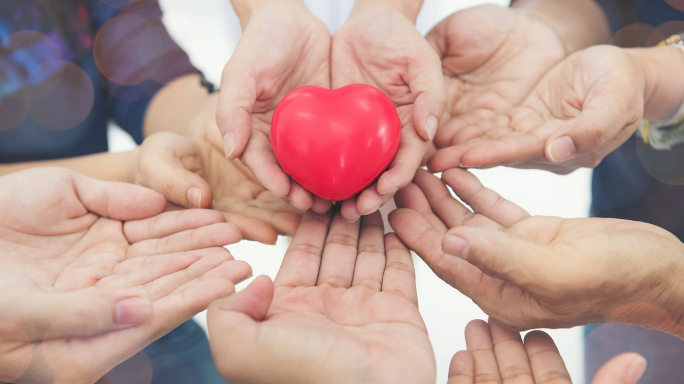 Daily Health Updates for Different Age Groups